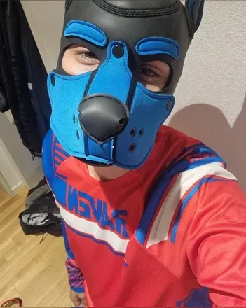 OnlyFans cuenta puphondi avatar 1