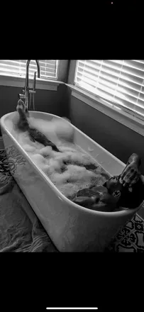 OnlyFans cuenta treysongz header 1