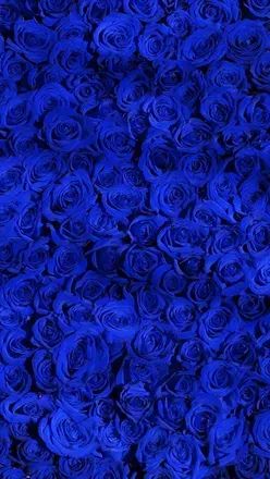 OnlyFans cuenta josielustx header 1