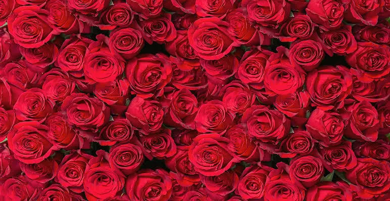 OnlyFans cuenta fadinharojo header 2