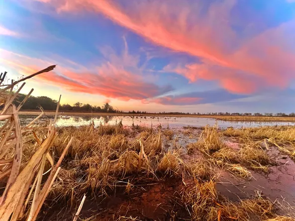 OnlyFans cuenta atomissmall header 2