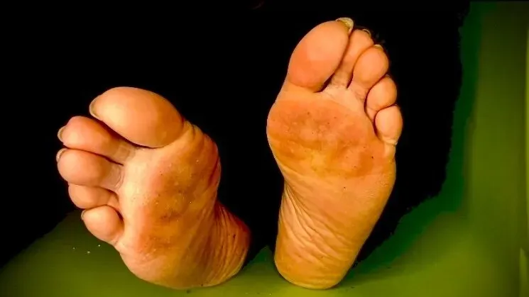 OnlyFans cuenta starlightsolez avatar 1