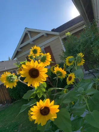 OnlyFans account  catbloomx header 2