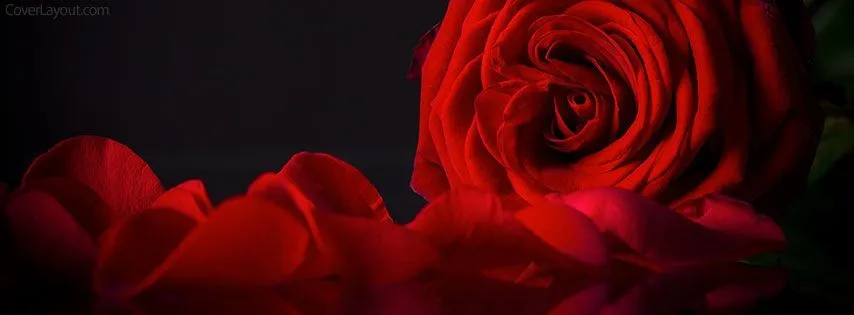OnlyFans cuenta xxxstellarosexxx header 2