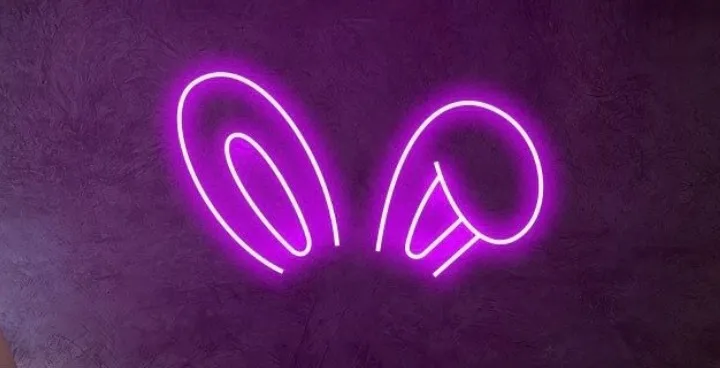 OnlyFans cuenta thecouplebunny header 2