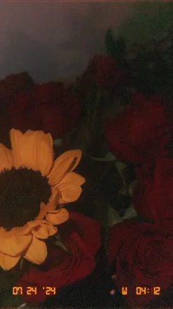 OnlyFans account  sweethabibti header 2
