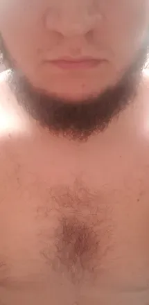 OnlyFans cuenta bearinbrazil avatar 1