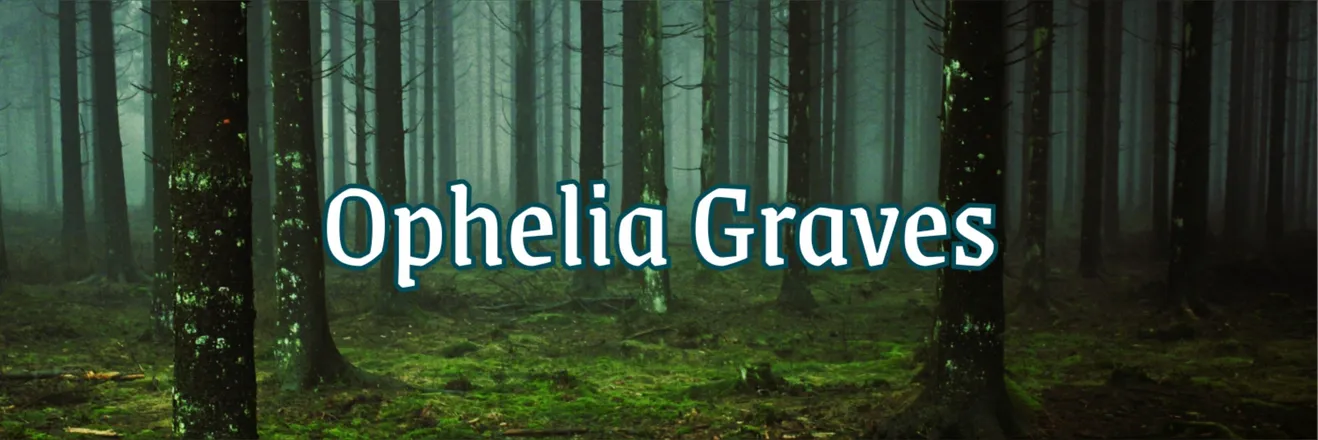 OnlyFans account  legsofophelia header 2