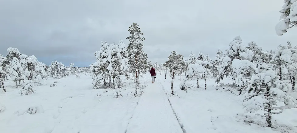 OnlyFans cuenta goldname header 2