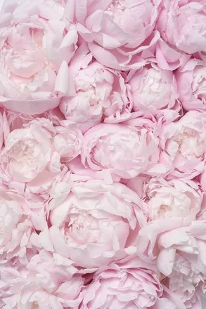 OnlyFans cuenta babygurll246 header 2