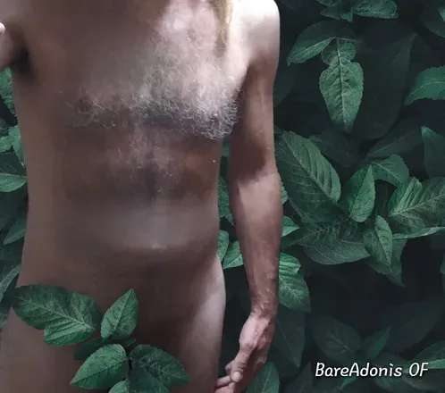 OnlyFans cuenta bareadonisfree avatar 1