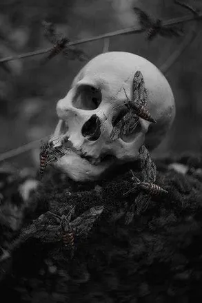 OnlyFans cuenta skeleton0queen header 2