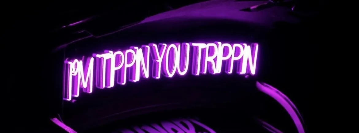 OnlyFans cuenta thesouthernway header 2