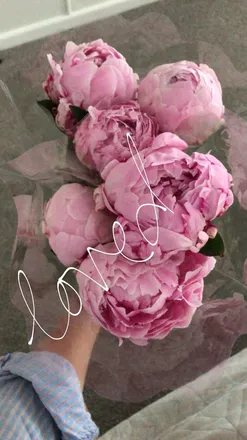 OnlyFans account  milamae21 header 2