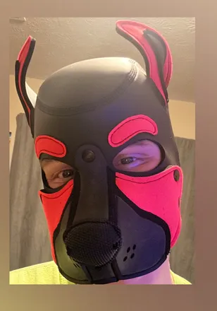 OnlyFans cuenta brinkthepup header 2