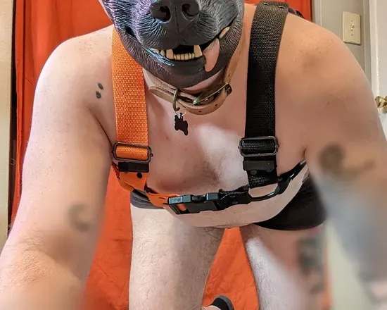 OnlyFans account  ajftm avatar 1