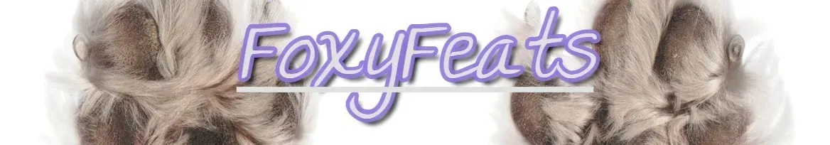 OnlyFans cuenta realfoxyfeats header 2