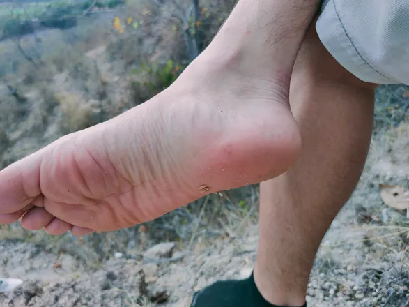 OnlyFans account  latinnaturalfeet header 2