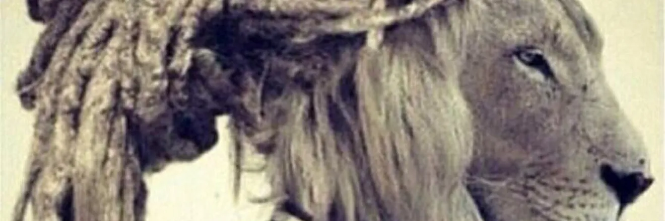 OnlyFans cuenta dablacktarzan header 2
