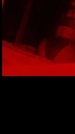 OnlyFans cuenta sheeelby000 header 2