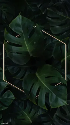 OnlyFans cuenta horticulturalmindset header 2