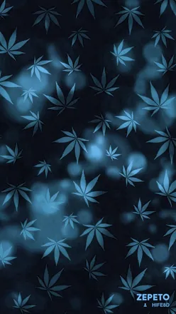 OnlyFans cuenta night_bloom header 2