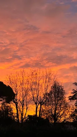 OnlyFans cuenta pietroleone header 2