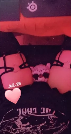 OnlyFans cuenta court.jester header 2