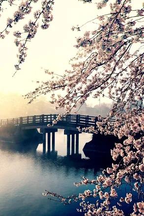 OnlyFans cuenta flowers_v_97 header 2