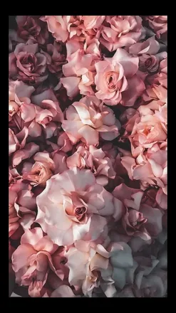 OnlyFans cuenta mimi_96 header 2