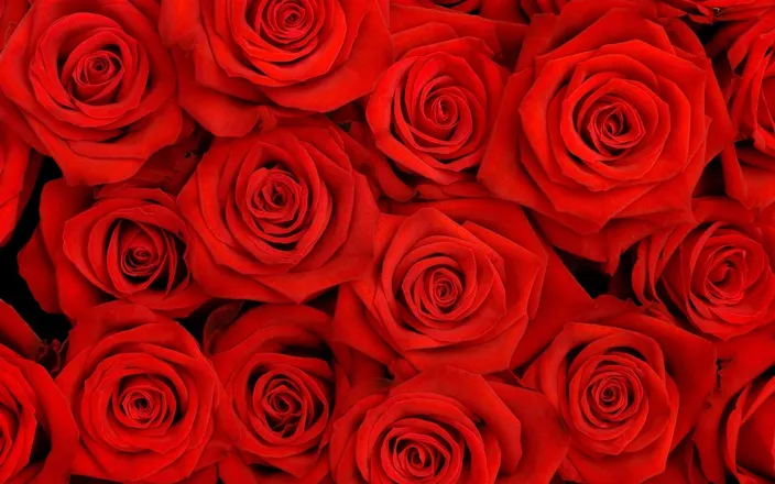 OnlyFans cuenta tess.lov3 header 2