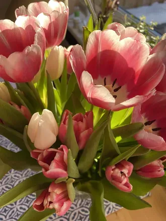 OnlyFans account  annajohn header 2