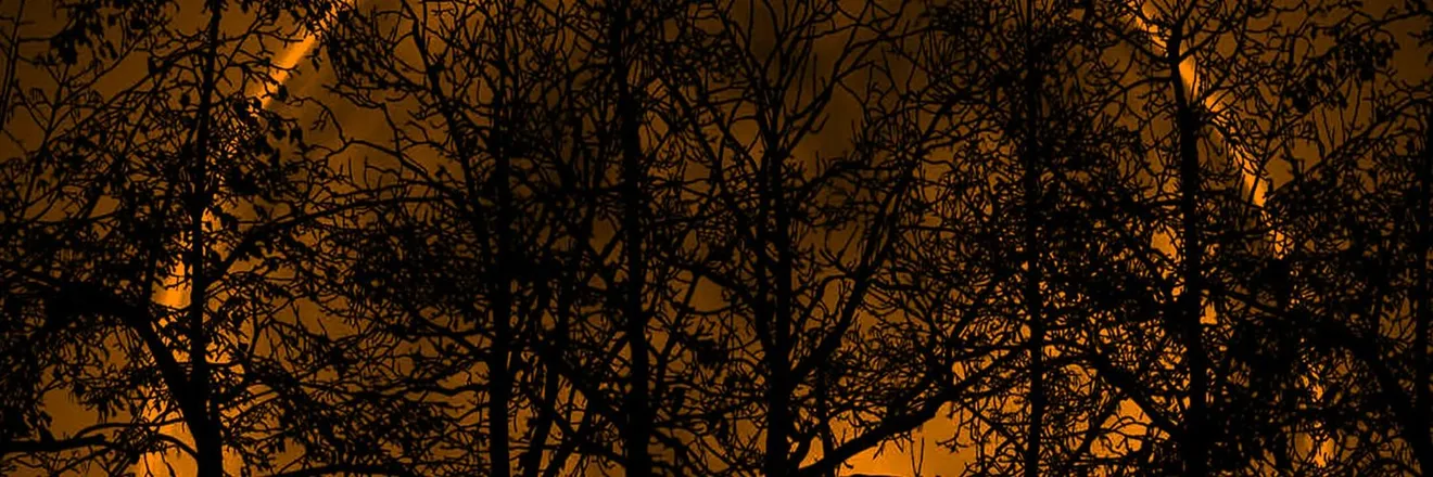 OnlyFans cuenta juggalojdawg header 2