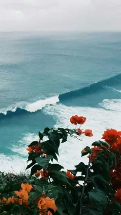 OnlyFans cuenta leiinparadise header 2