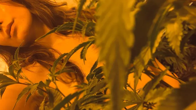 OnlyFans cuenta sexy_smokes header 2