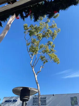 OnlyFans cuenta feetwithnicole header 2