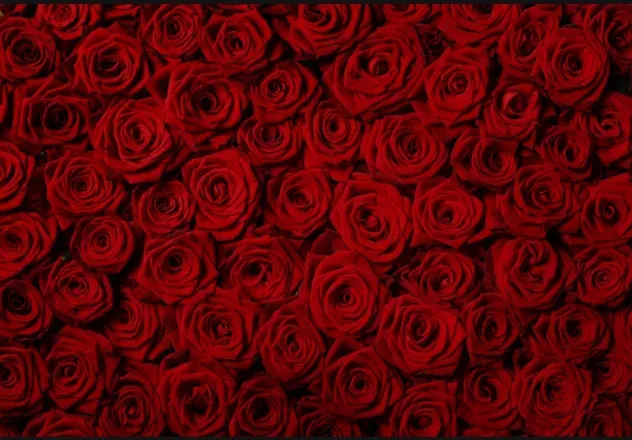 OnlyFans cuenta nianoir header 2