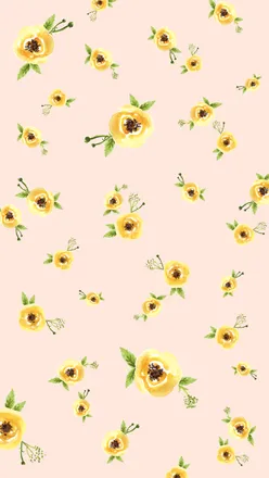 OnlyFans cuenta littlemsrose header 2
