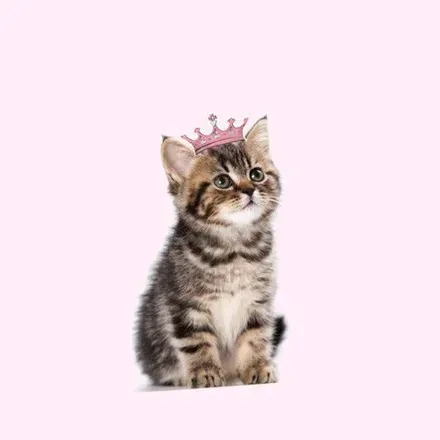 OnlyFans cuenta chibikittyqueen avatar 1