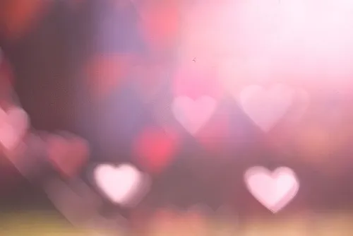 OnlyFans cuenta noel.edwards header 2