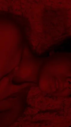 OnlyFans cuenta nises_1 header 2