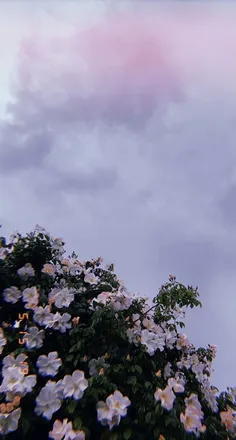 OnlyFans cuenta prettyfeetbykarina header 2