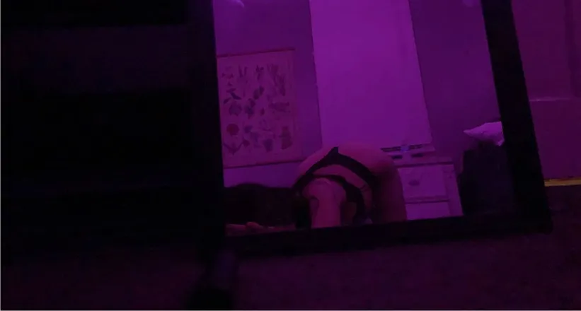OnlyFans cuenta lovleylittlerose header 2
