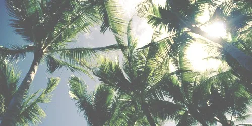 OnlyFans cuenta smooththiccbtm header 2