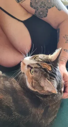 OnlyFans cuenta crazycatlady420 header 2