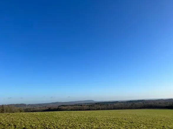 OnlyFans cuenta countrysurrey header 2