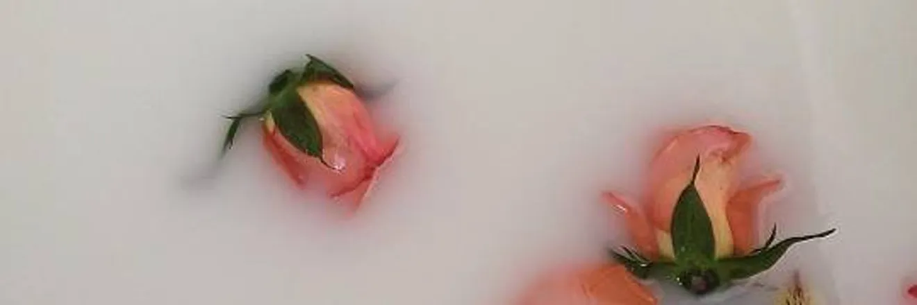 OnlyFans cuenta lotusdaphne header 2