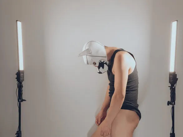 OnlyFans account  luispitton header 2