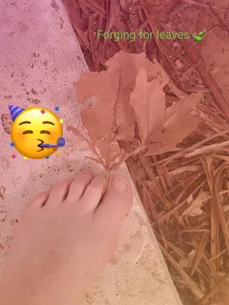 OnlyFans account  fabulouslookinfeet avatar 1