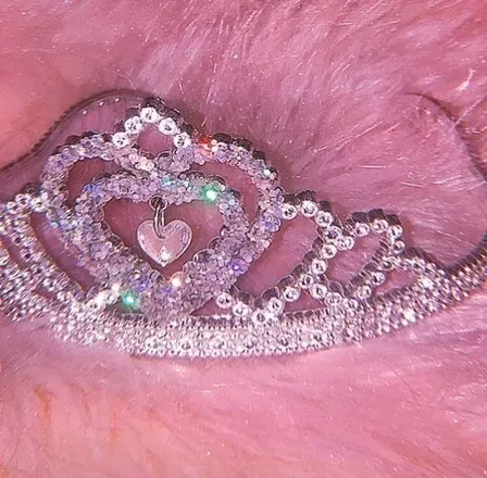 OnlyFans cuenta aphrodites_sweet_angel avatar 1